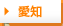 愛知